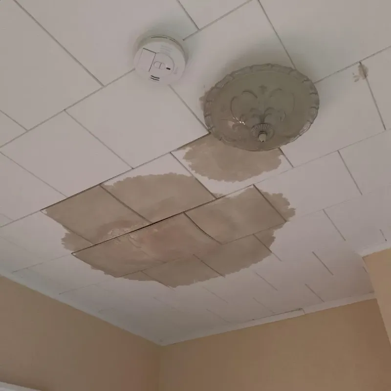 Ceiling Water Damage Repair in Orange, CT