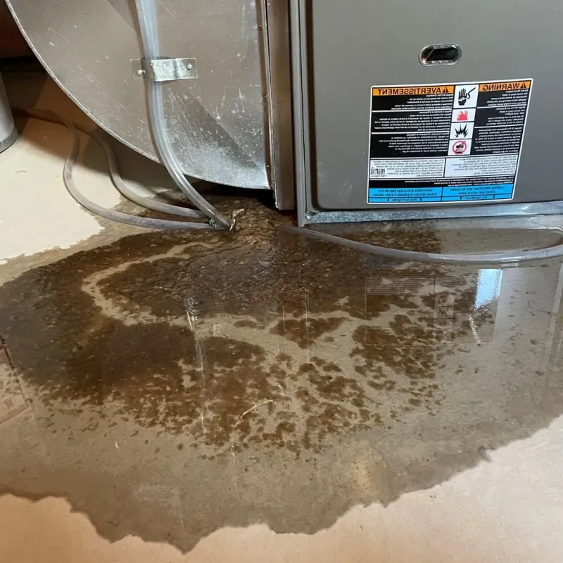 Pipe Burst and Leak Restoration in Orange, CT